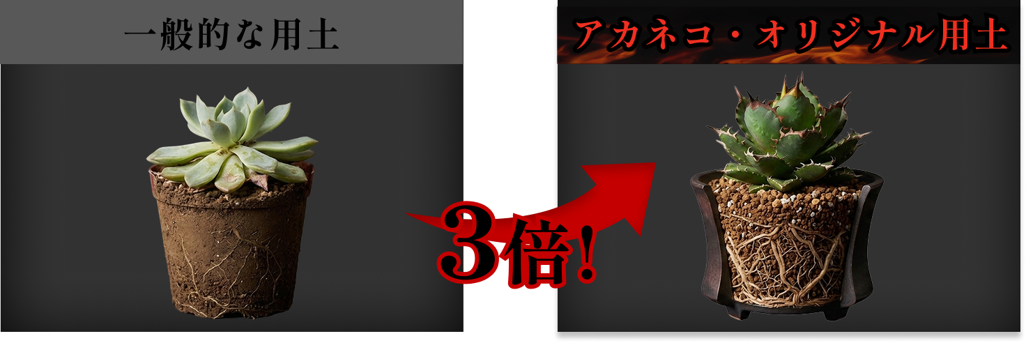 ノーマル用土とオリジナル用土の比較イメージ画像